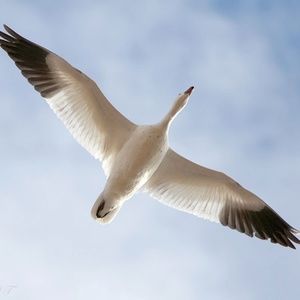 Quality, Innovation & Unique Products